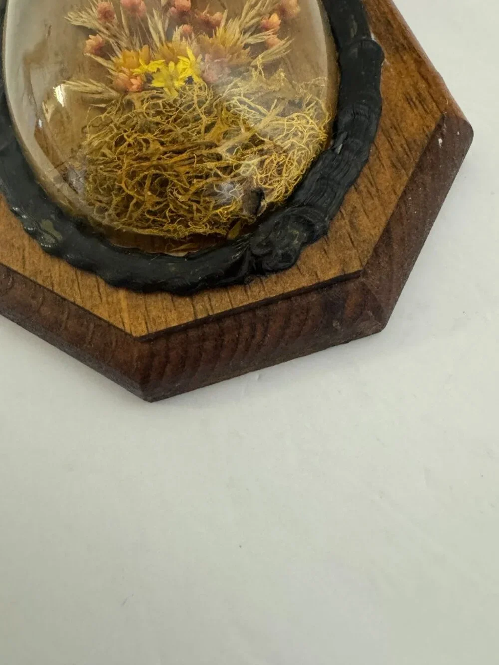 Vintage Dried Flowers Wall Hanging Art Convex Bubble Glass Wood Plaque.